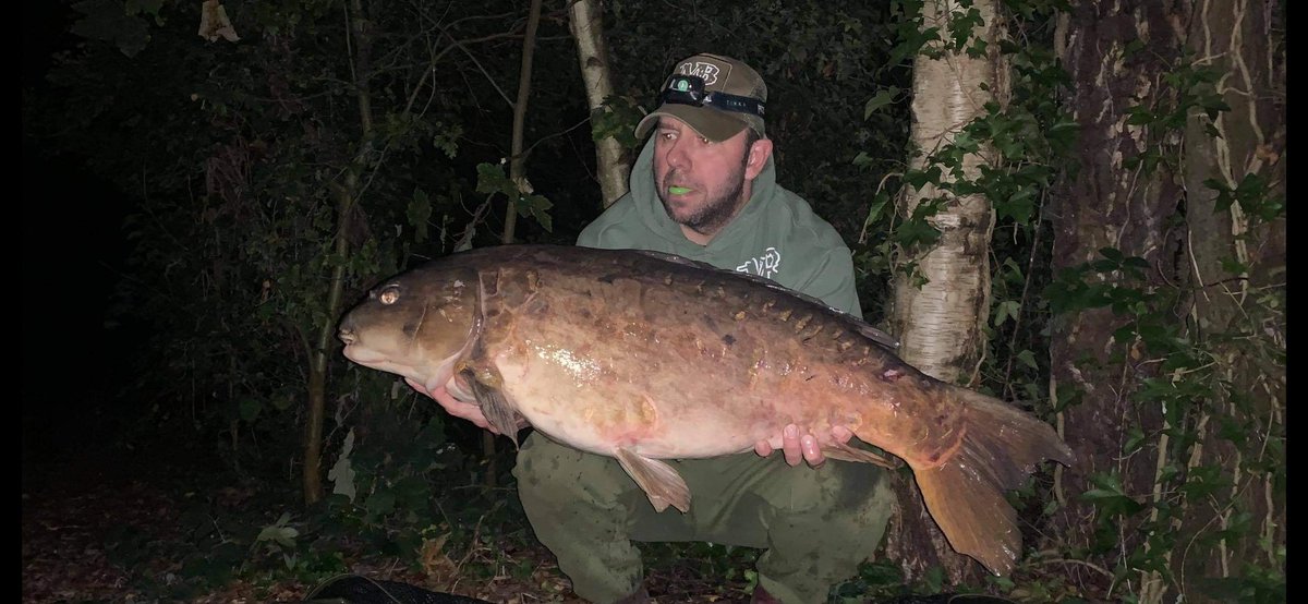 Infantrycarpers tweet media