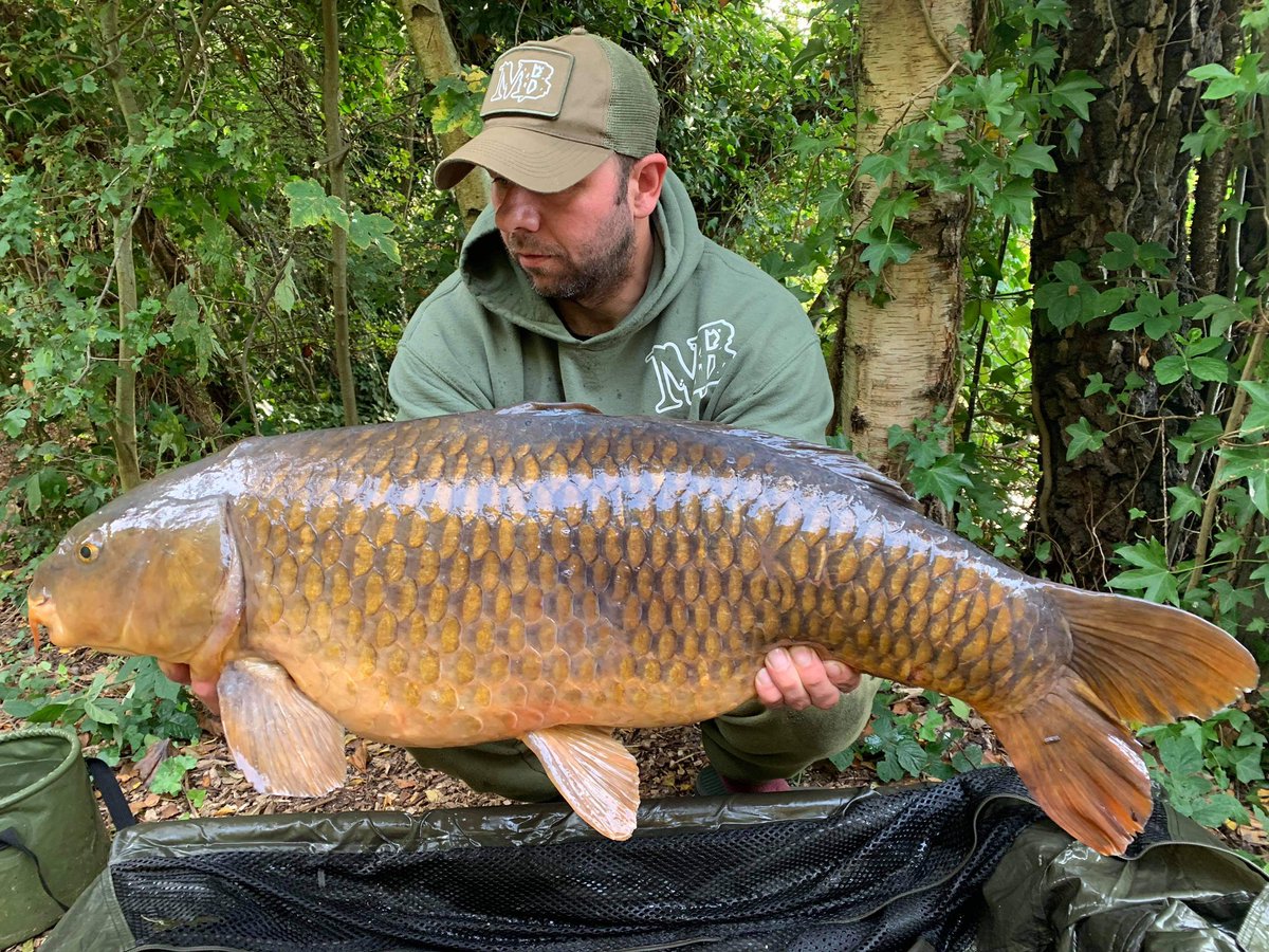 Infantrycarpers tweet media