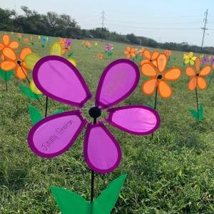 ASURamPage's tweet photo. Check out our coverage of the San Angelo's annual Walk to End Alzheimer's which was helped put on by @asu_sigmakappa sorority.

https://t.co/Wis3mLjAu5

Written By: Jade Marty

#AngeloStateUniversity #StudentJournalism https://t.co/gKvfuOEnUo
