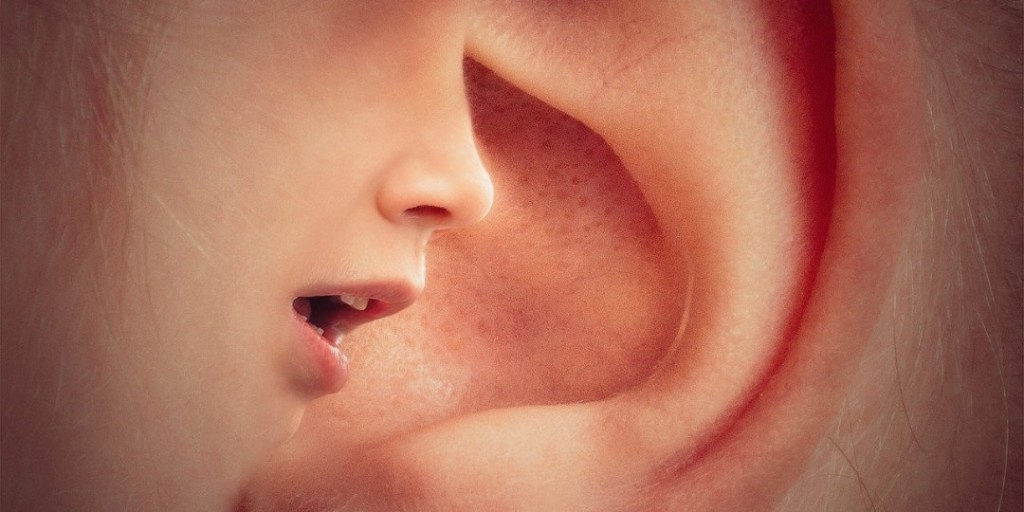 An article published in American Journal of Otolaryngology presents a case study that examines the connection b/w tinnitus/hearing loss and #COVID-19. Read more: bw.hn/awx  <a href="/AmJOtol/">American Journal of Otolaryngology</a> <a href="/ElsevierConnect/">Elsevier</a> #tinnitus #hearingloss #neuroscience #neuronews #brainweek #cns