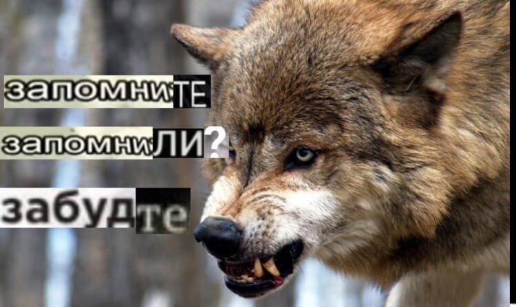 vall_multiverse's tweet photo. Юджин Андерсон https://t.co/kDgfpnzQXh