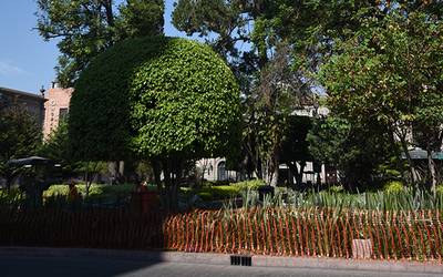 LaComisionVerde's tweet photo. En Querétaro se han plantado más de mil 165 árboles con el programa Respira Querétaro 🌱

El programa forma parte de compromisos elaborados nivel internacional; como el programa Respira la Vida de la Organización Mundial de la Salud y Ciudades Arboladas una iniciativa de la FAO, https://t.co/KvovjndIMx