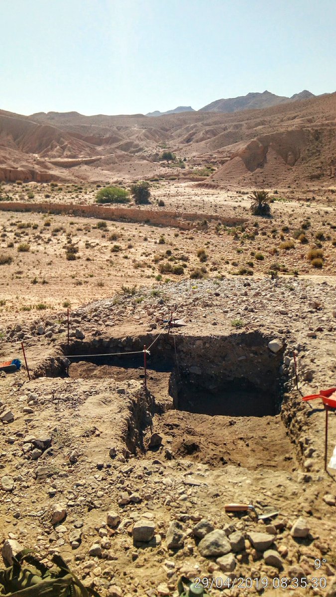 DesertPrehistor's tweet photo. #Fieldworkfriday- A trench with a view in Tunisia in 2019! Taken during collaborative fieldwork between @kclgeography and L'institut National du Patrimoine du Tunisie to investigate archaeological sites and their past landscapes in southern Tunisia.
#kclfield https://t.co/Ov3zFk1vSG