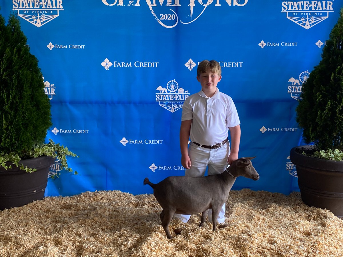 Virginia Cooperative Extension tweet media