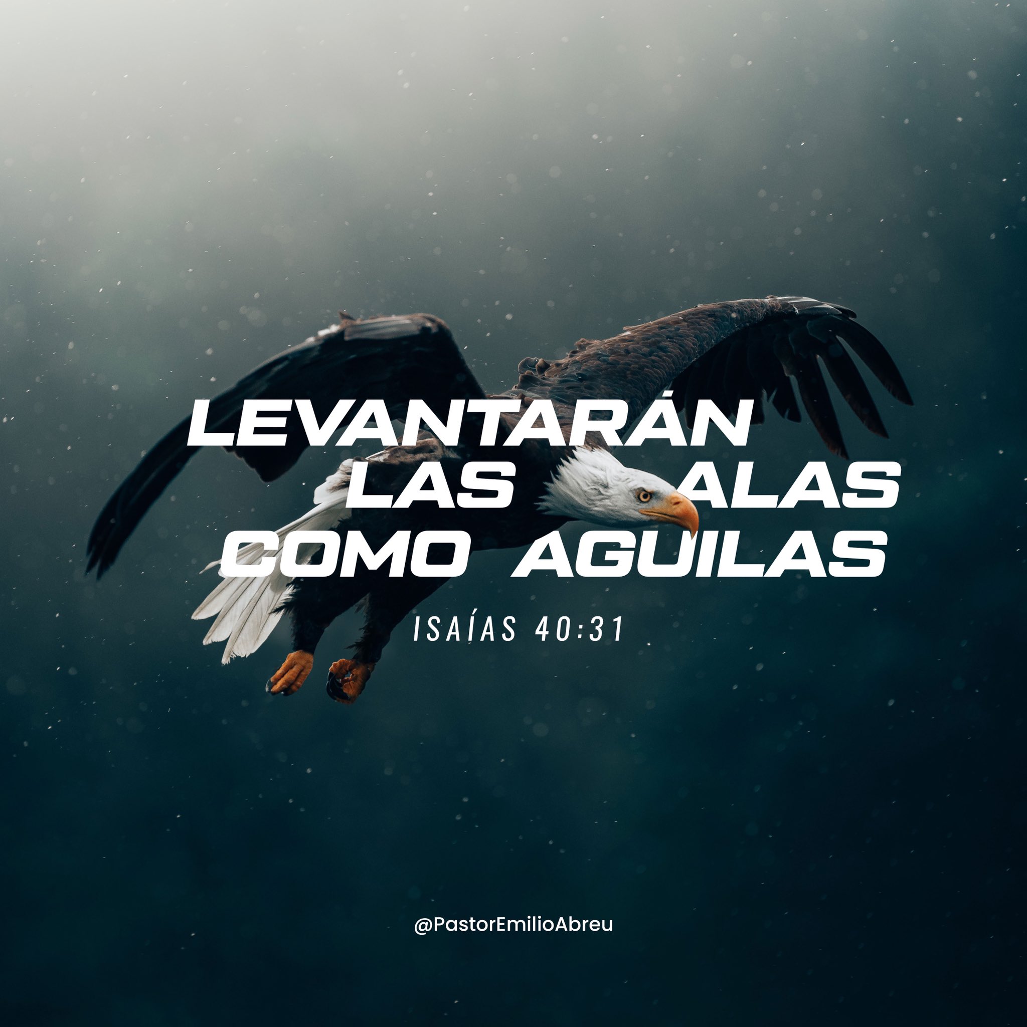 Pastor Emilio Abreu on Twitter: 