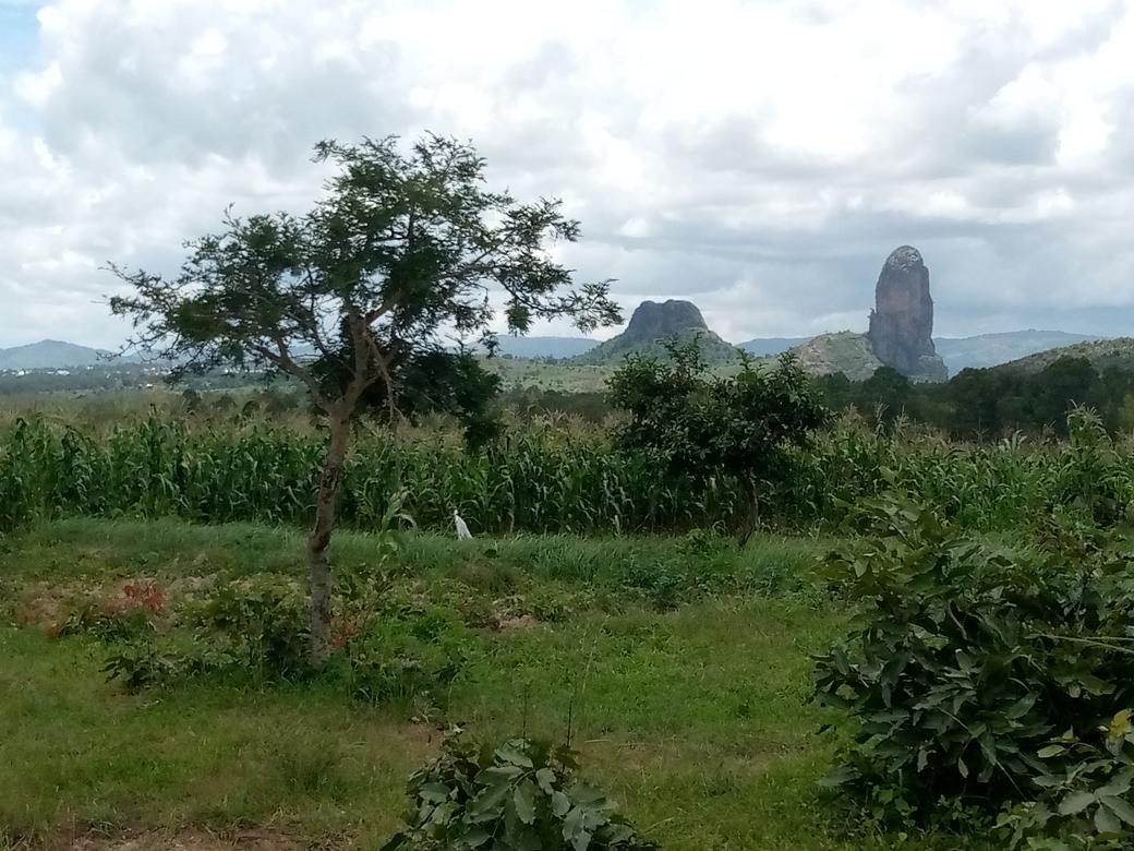 HumanityPurpose's tweet photo. #Cameroun
#ExtrêmeNord
Je suis de retour après un petit tour à #Mogode dans le #MayoTsanaga. Une autre zone attrayante à la lisière d'une #ZoneRouge convoitée par les groupes associés à #BokoHaram.
@VincentFoucher
@ChristianTiga
@Voix2Paix
@GlobalCtr
@BAYANGDavid
@SembeTv
@APPIC6 https://t.co/aNQaashGLM