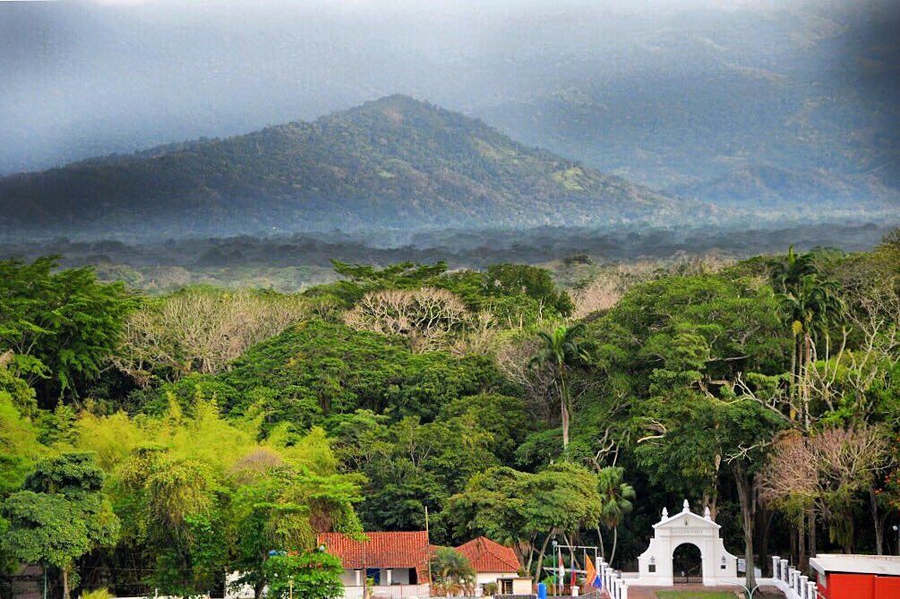 Coryatur tweet media