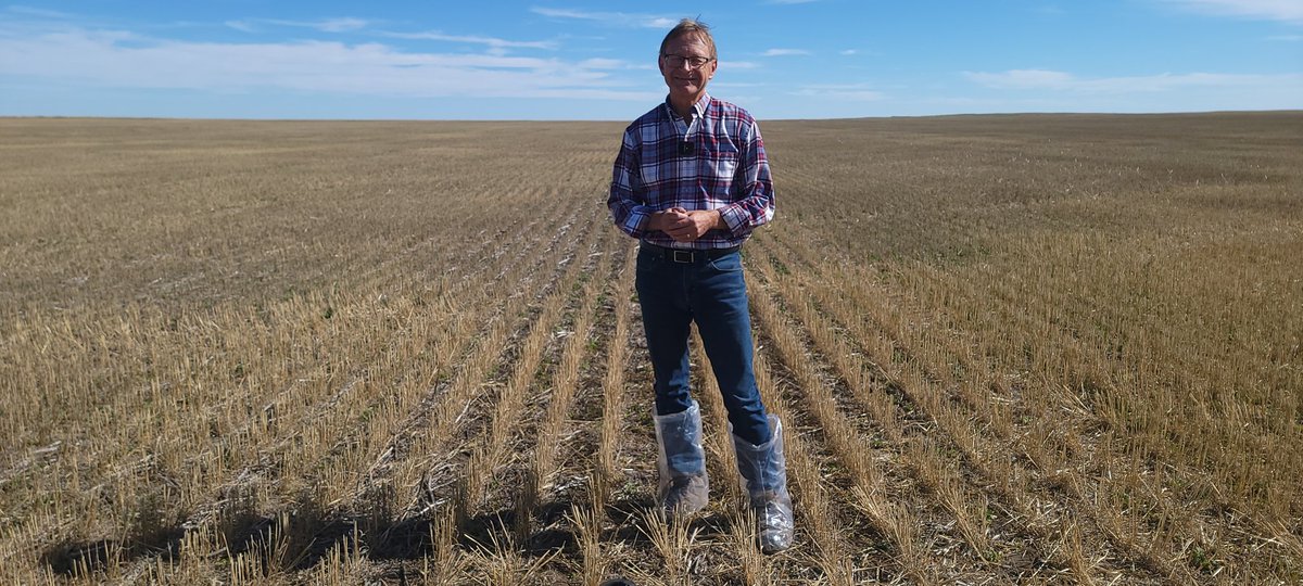 KaraOosterhuis's tweet photo. Terrifc day to be out in the field with Ted Labun and (not pictured) Shad Milligan of @syngentacanada. Fascinating and useful wireworm info coming your way on a @realagriculture #WheatSchool.
#cdnag https://t.co/g3AqtQUlR5