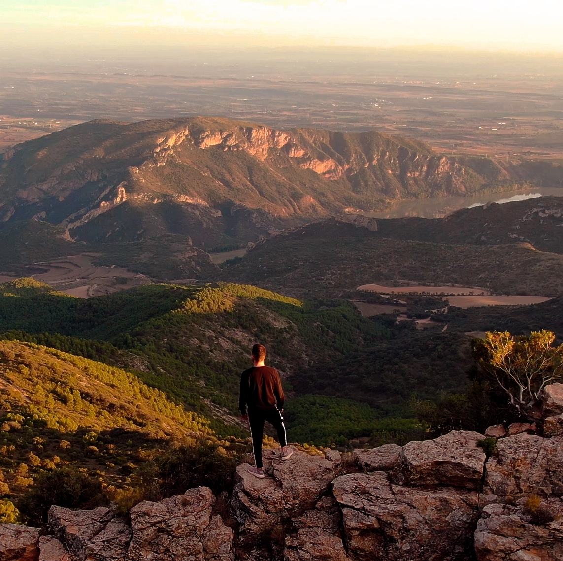 Suit of Bullets tweet media