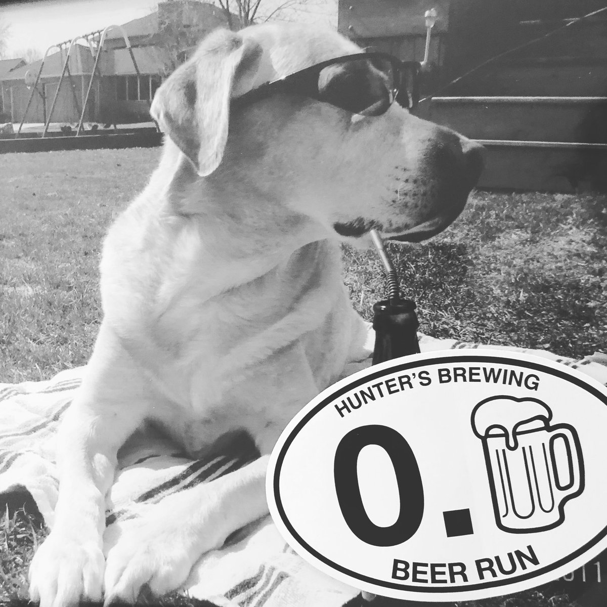 HuntersBrewing's tweet photo. New Beer Run decals are in! https://t.co/MqJSCUGpTj