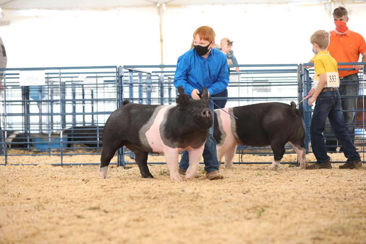 Virginia 4-H tweet media