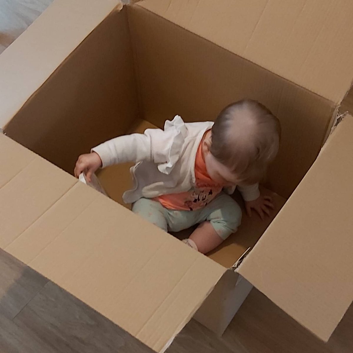 Moving day today......lessons learnt don't try and move without offloading the kids first 😭😭😭😂😂