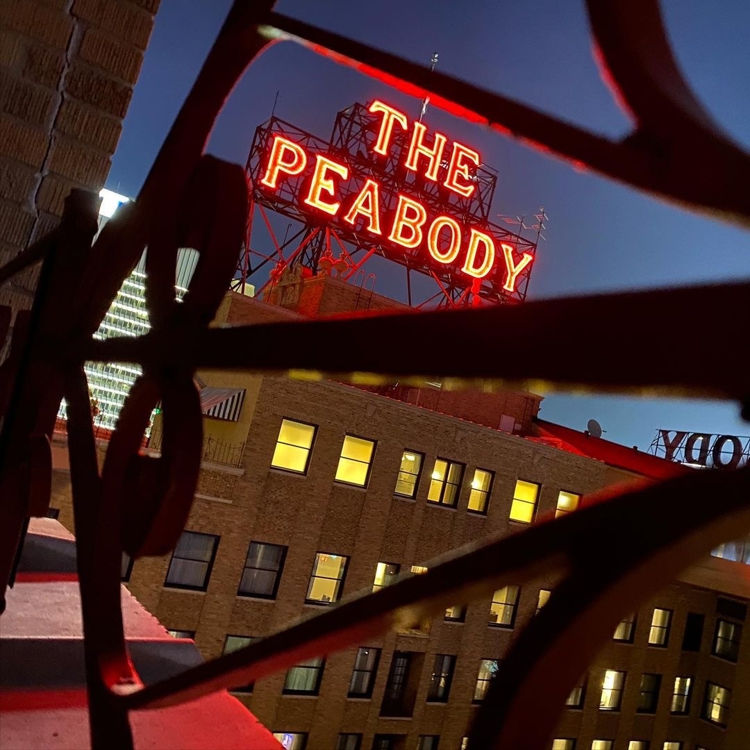 PeabodyMemphis's tweet photo. Nite, Nite, Memphis! 

https://t.co/MKml0U020n

📸 credit: @goldtoothe 

#peabodymemphis #ThePeabodyMemphis #ThePeabody #IconicSignage #PeabodyRooftop https://t.co/sYdH29CWd6