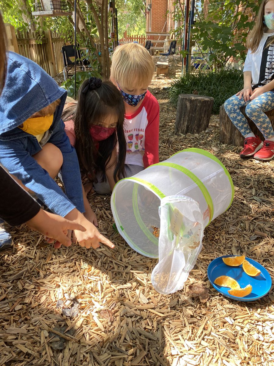 Anna's Class tweet media