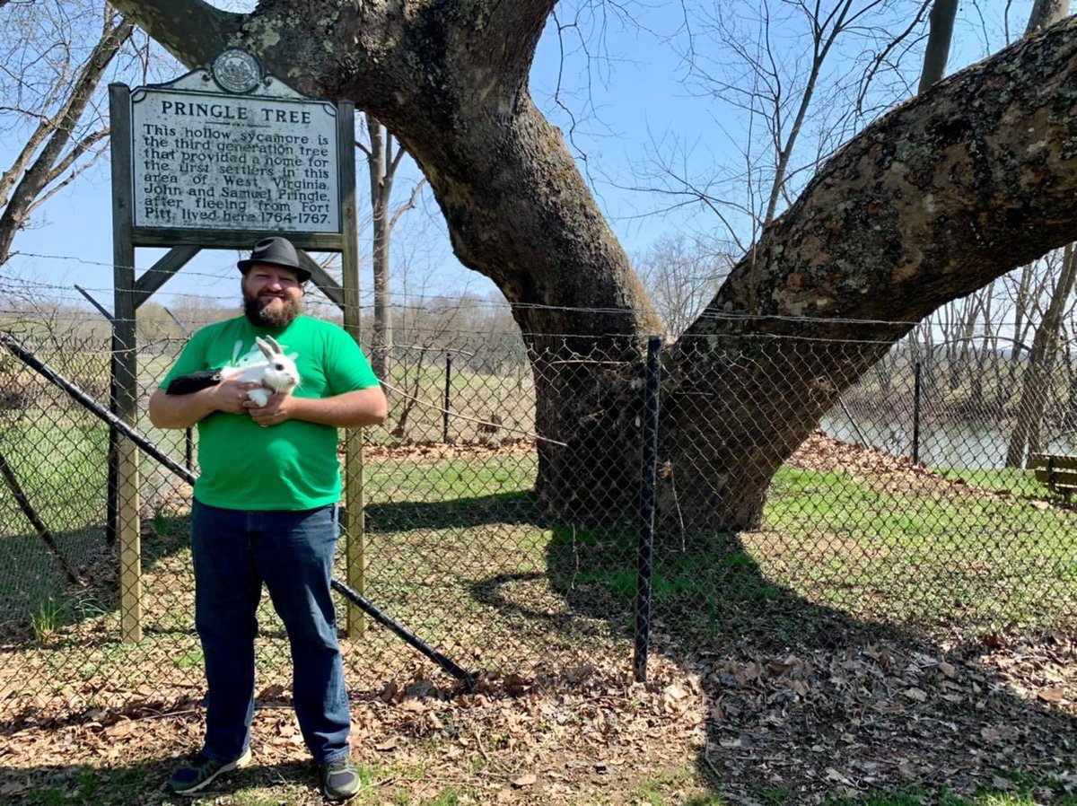 JackInTheBagWV's tweet photo. Jack took a day trip touring WV. Our first stop was at the Pringle Tree! Bros. John & Samuel Pringle lived in the hollow of a large sycamore tree during the mid 1700โs. The present sycamore tree is supposedly the 3rd generation of the original tree. #jackinthebag #pringletree https://t.co/V14XT6EAIk