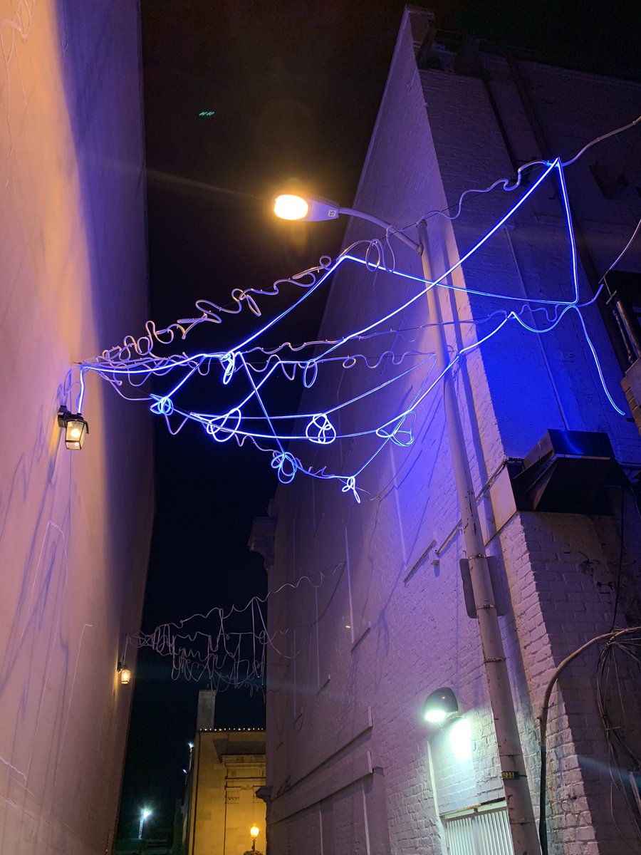 WDCGardener's tweet photo. Walking the Georgetown Glow light displays with a group of #dmv landscape designers. A perfect night for it! #dc #gardendc #lights #art #georgetown #glow #georgetownglow #washdc https://t.co/2HJeiRa3OW