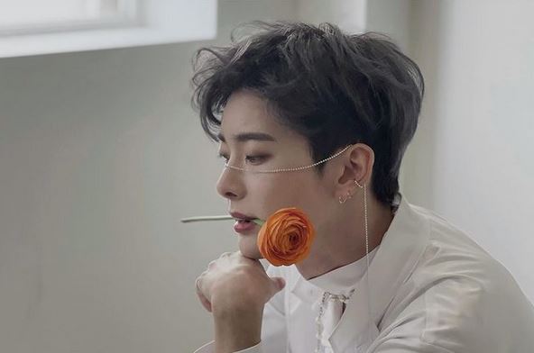 ああもう、ヒチョは本当に美しい。