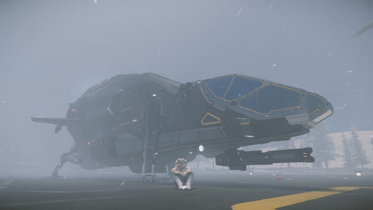ochanachos's tweet photo. They said it would be sunny outside... #StarCitizen https://t.co/CoWJ5FMm3J