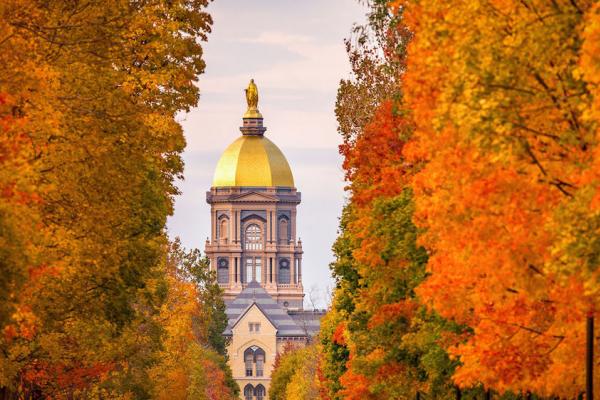 ACEatND's tweet photo. Are you interested in applying to the Mary Ann Remick Leadership program or just want to learn more?  Attend one of our virtual or in-person events to meet members of our recruitment team. https://t.co/z0O8NkpRvp https://t.co/v4K82tNp8n
