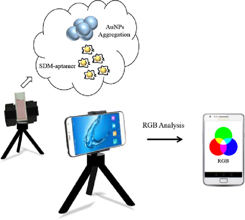 ChinChemLett's tweet photo. AuNP aggregation-induced quantitative #colorimetric #aptasensing of #sulfadimethoxine with a #smartphone. #nanoparticle @ELSchemistry
Read it: https://t.co/cA08d6gXdW https://t.co/NKwUENzHJq