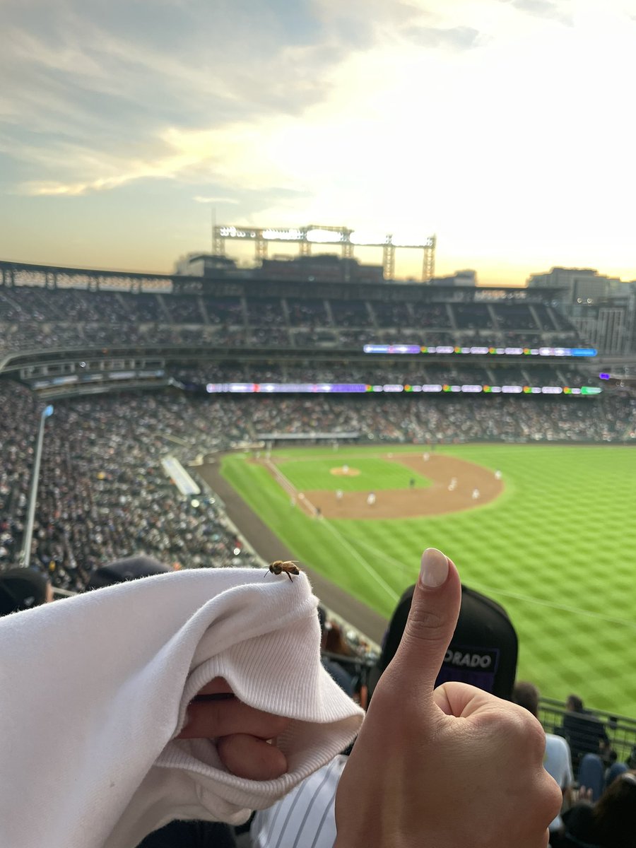 jessicajames98's tweet photo. @Rockies @denvermattress @Purple we will bring our new friend #howwepurple @denvermattress 

(U311 Row 15 Seats 11-14) https://t.co/tKPWCjypty