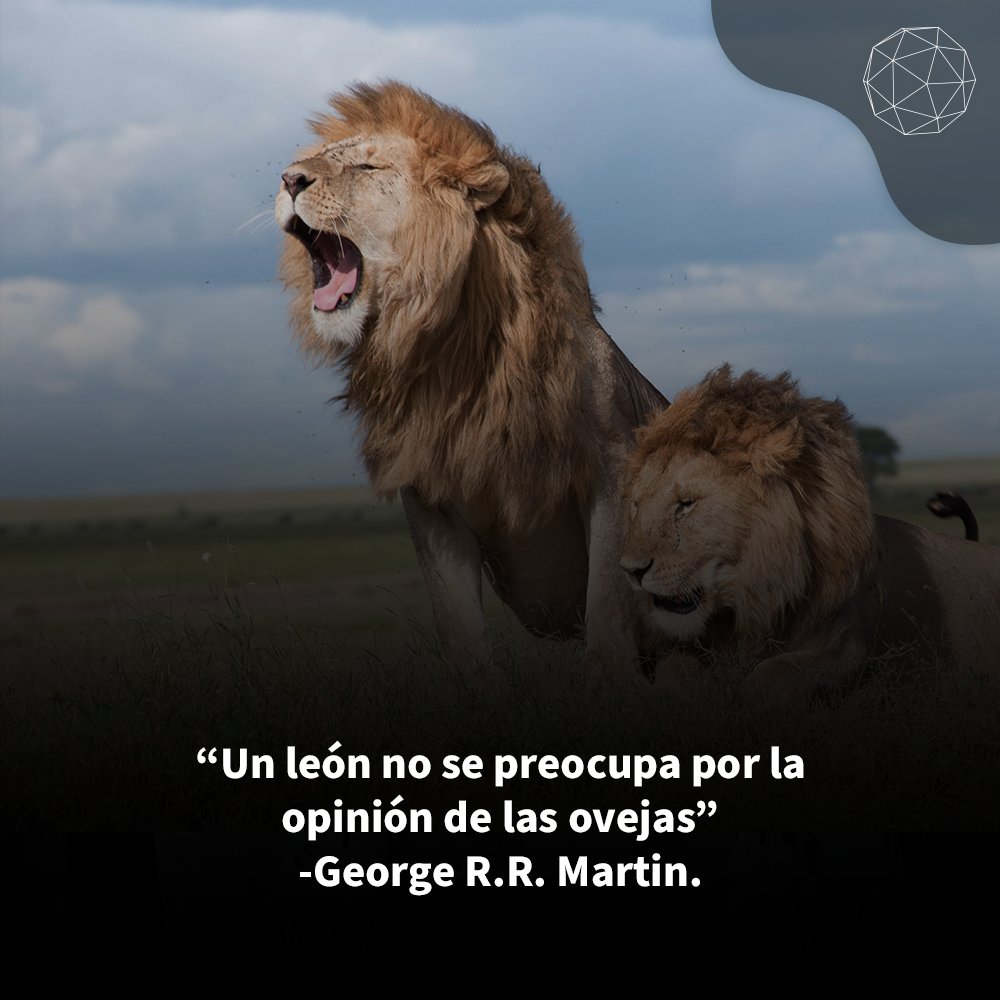 ecoosfera's tweet photo. Frase del día. 🦁
#Ecoosfera 💙 https://t.co/USf4QdfTxy