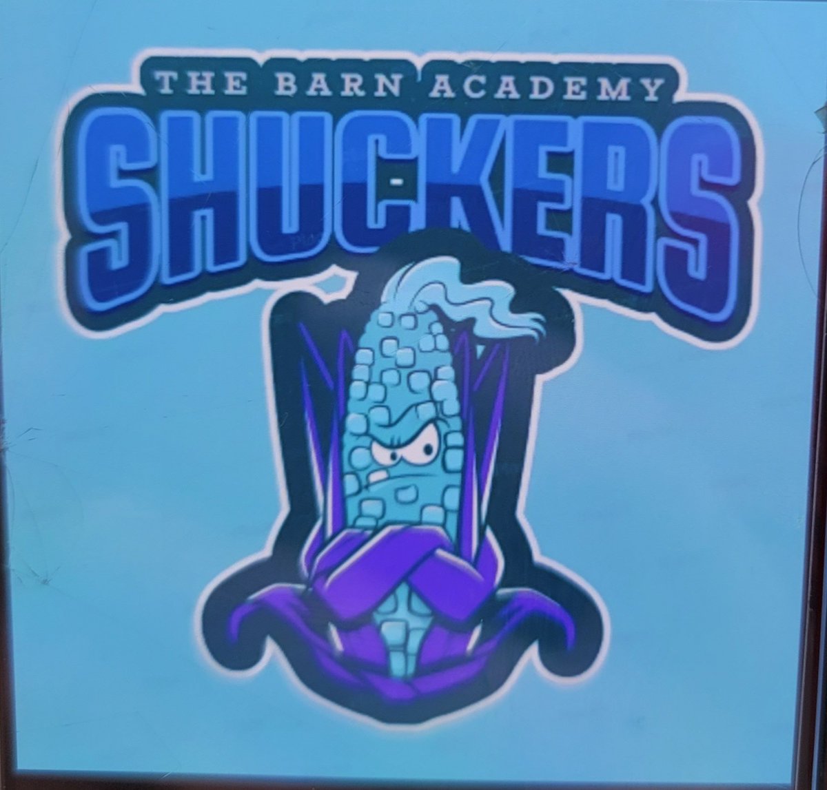 JoeManKing's tweet photo. @OConners_Barn I had the privilege of redoing this A2000 this week.  This young player wanted his team colors. https://t.co/g1tixzYlFr