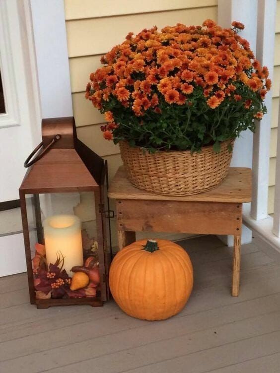 🍂AUTUMN PORCH INSPIRATION🍂#pumpkinpatch #fallstyle #modernfarmhouse #falldecoratingideas #pumpkinseason #love #etsy #fallwreath #vintage #smallbusiness #cozy #thanksgiving #fallseason #leaves #spooky #etsyshop #cottagestyle #thanksgivingdecor #september