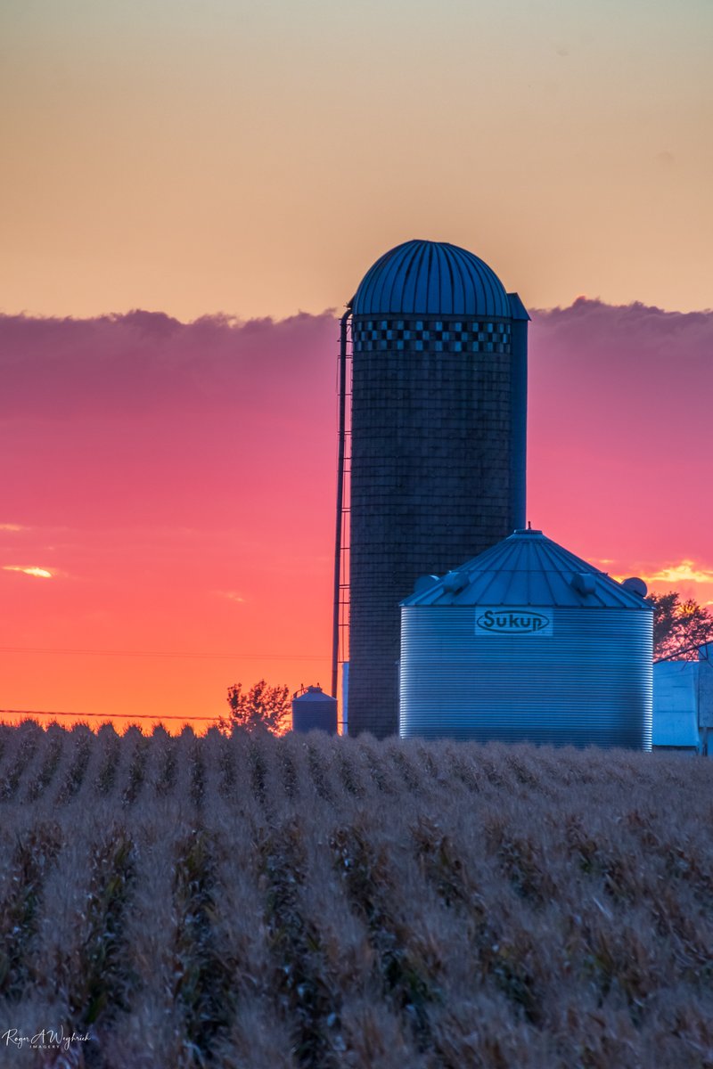 raweyhrich's tweet photo. Colorful harvest sky this evening in Central Iowa.  #sukup, #Iowa https://t.co/i7FThlVBtX