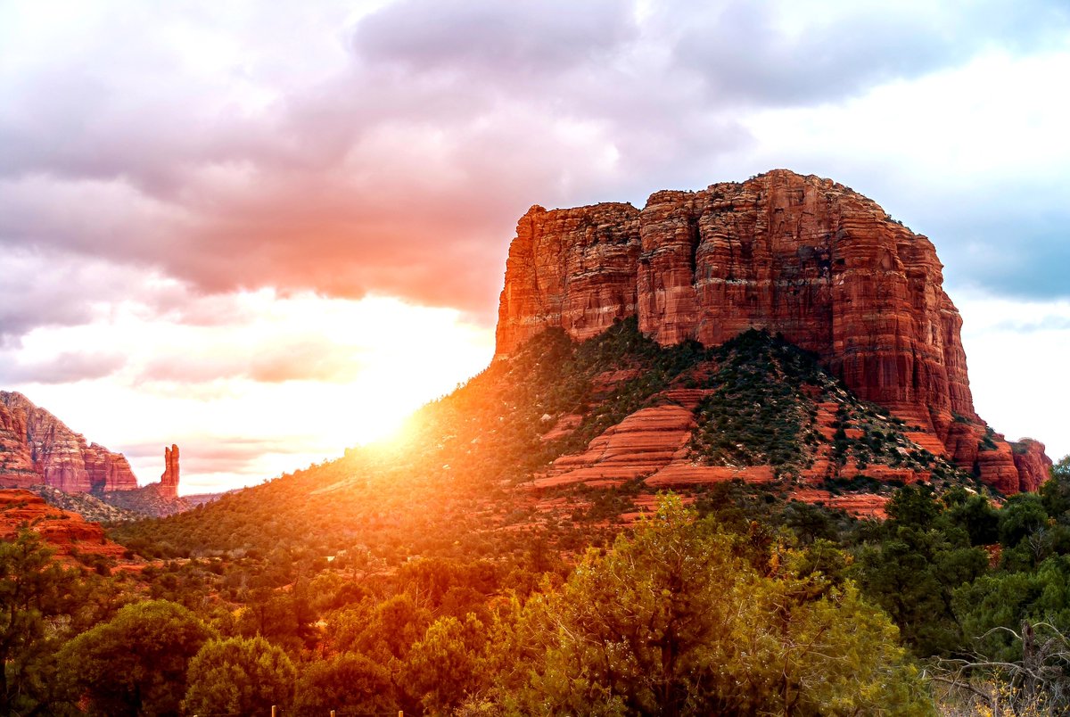 Michael Barone tweet media