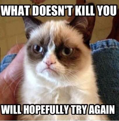 2ndwaveK's tweet photo. @StevenSarson Grumpy cat! https://t.co/0naeACqI5V