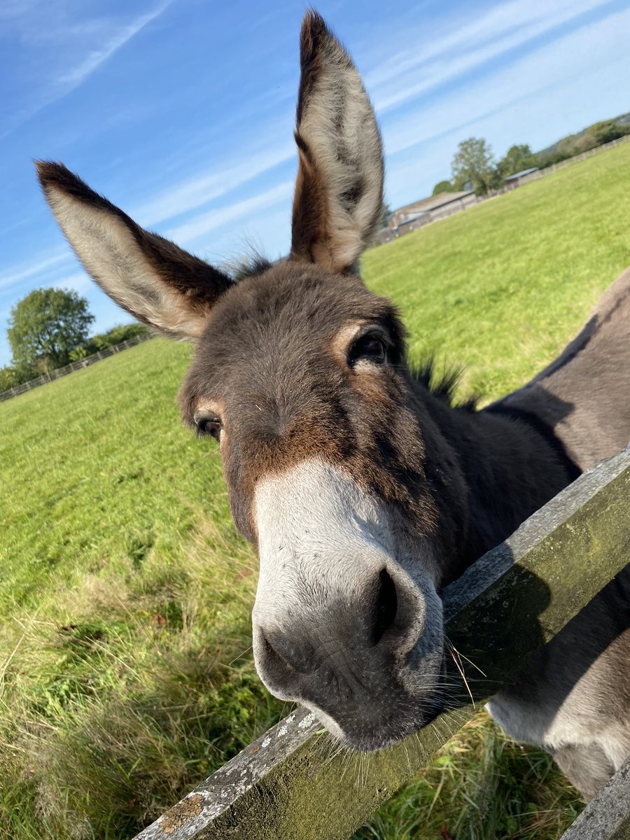 Louise McColm tweet media