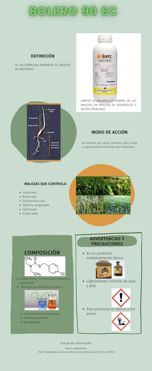 Katheri81451235's tweet photo. !! Sabias que... 😱 El BOLERO 90  EC es un herbicida selectivo, apropiado especialmente para uso agrícola 🌾🌿🌱¡¡
#YoDivulgoFIQ
#CienciaFIQ
#SéInvestigarSoyCentral
#SoyCentral https://t.co/5iBhrFwwpV