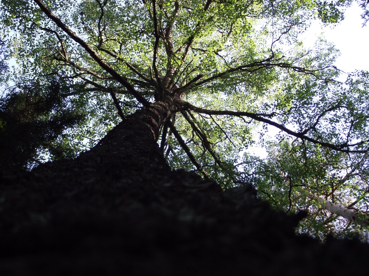 Paula Lönnemo tweet media