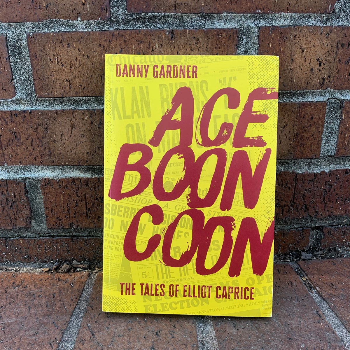 Looking for a great read with strong noir vibes? Look no further than ACE BOON COON by Danny Gardner