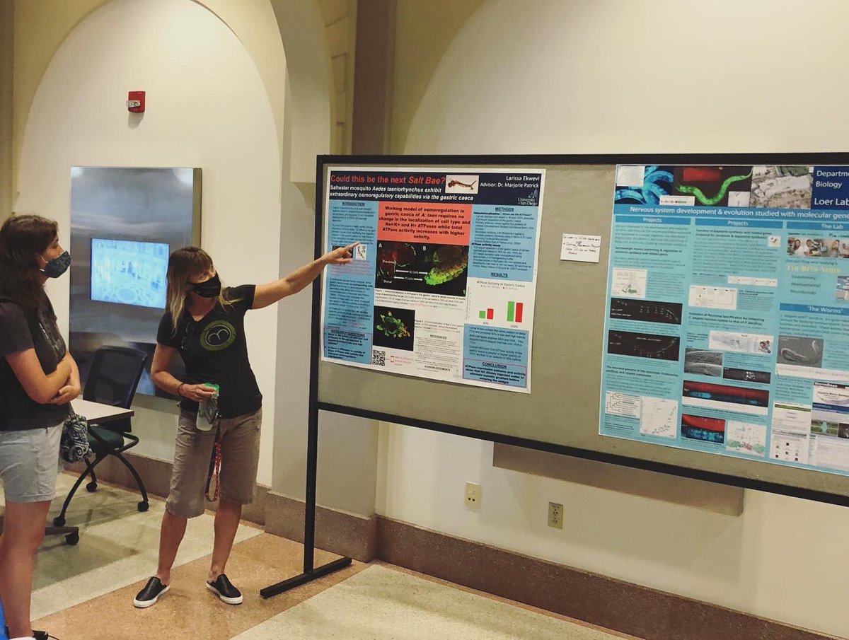 USDBiology's tweet photo. Thank you to all of those who joined us at BioNight this week! It was wonderful being back in-person for this event. #🧬 #research #biology #🍕 https://t.co/l8gjqzG7IM