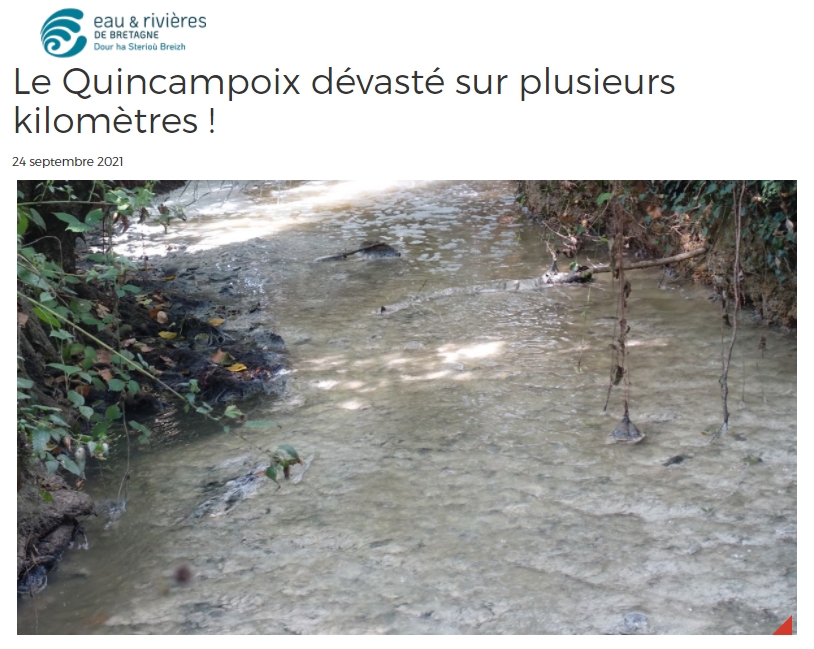 SylvainErnault's tweet photo. Seules 3 % des masses d'eau d'Ille-et-Vilaine sont en bon état écologique contre 42 % en état médiocre et mauvais (AELB 2019). Et voilà qu'une nouvelle catastrophe touche le #Quincampoix, un cours d'eau qui coule à Melesse au nord de Rennes. 🤢

https://t.co/viOTes2ke3 https://t.co/n1Y2XxuMAk