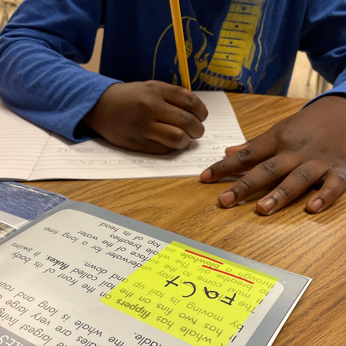 Ms_Sheapp's tweet image. My newest favorite guided reading tools
T R A N S L U C E N T sticky notes! 

The possibilities with them are endless!

#translucentstickynotes #guidedreading #literacytools #firstgrade #readinggroup #stickynotes #officedepot