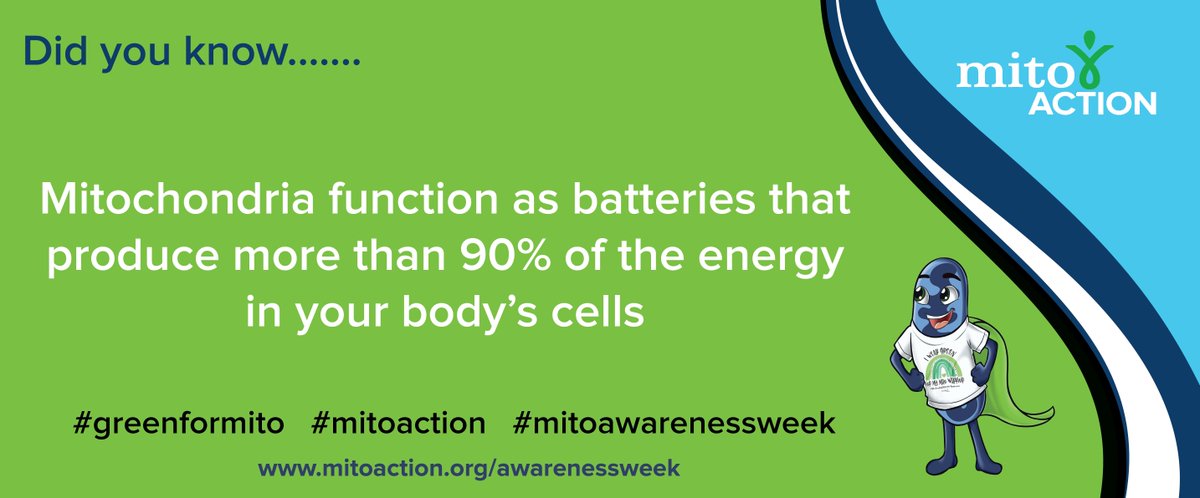 MitoAction's tweet photo. Did you know?
#mitoaction #mitochondrialdisease #supporteducateadvocate #greenformito #mitoawarenessweek #mitofacts #didyouknow #raredisease #mitowawareness https://t.co/9GztqISy2E