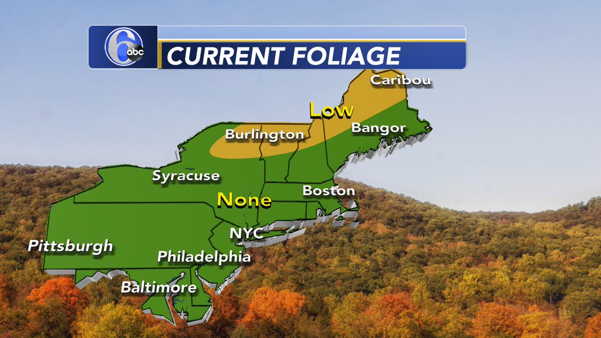 Brittany_Boyer's tweet photo. FALL FOLIAGE
Much of the Northeast has seen little change except the far northern tier and higher elevation mountain ranges.  That will all change over the next few weeks with many cool &amp; crisp nights ahead. https://t.co/TQJCRw2Ifg