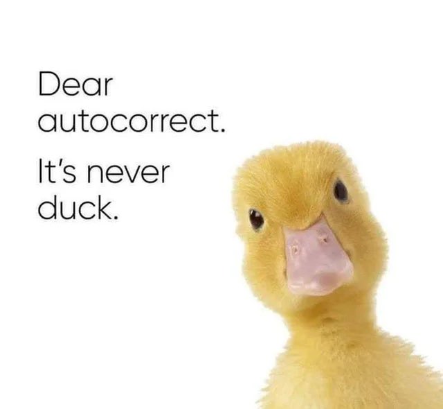 CharlotteEmmaUK's tweet photo. It certainly is not. 🐥 https://t.co/BLKMWHc1XZ