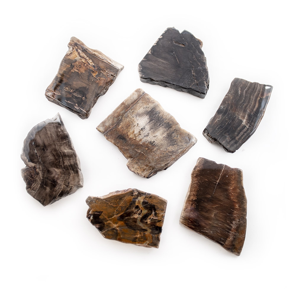 crystal_vaults's tweet photo. You've been waiting for our attuned Autumn Equinox crystals and they're finally here! Attuned Petrified Wood Slabs + Attuned Equinox Crystal Kits + more

Shop: https://t.co/TZIIf1OsX5
Read more: https://t.co/1Z7NJrpUrA https://t.co/iur0p2NxoI