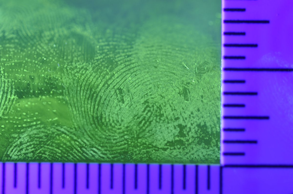 CUBoulderDPS's tweet photo. It's #nationalforensicscience week - and we're geeking out! Applying dye-stain to latent prints that would otherwise be hard to photograph. This is how our Property &amp; Evidence guru helps solve crimes! https://t.co/lfwr2sK3AN