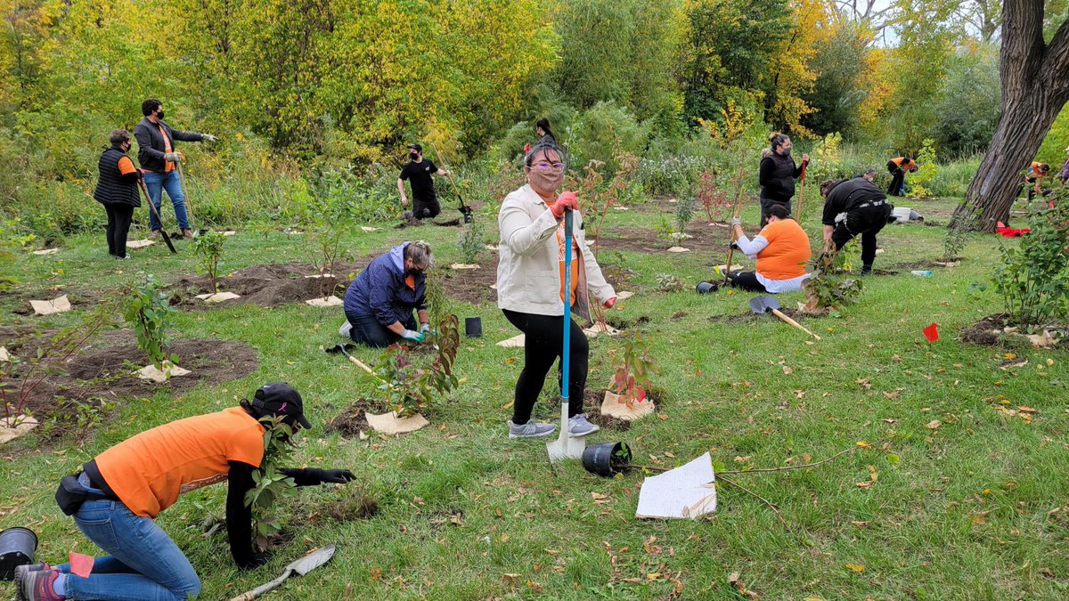 wpgfdn's tweet photo. ๐ณ Happy to help plant 100 trees at Michaรซlle Jean Park in Point Douglas today, contributing to Winnipeg's Million Tree Challenge!
Our second ECCC cohort is looking forward to planting another 100 trees next week!
#ForGoodForever #Winnipeg #ECCC #volunteering #MillionTreeWpg https://t.co/vINJwTcEh0