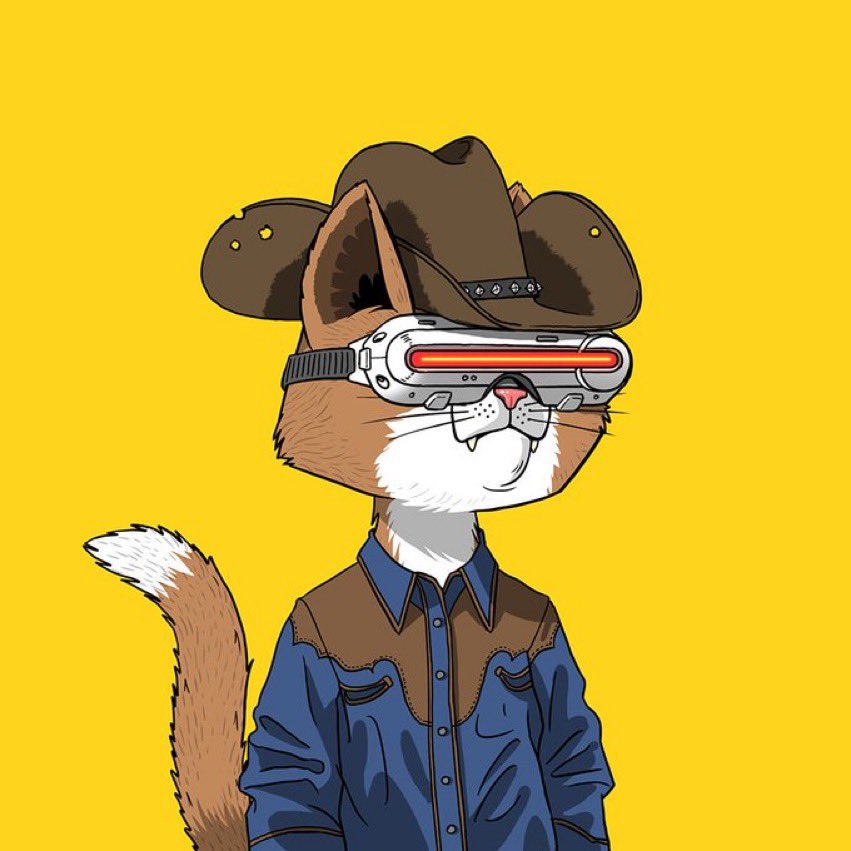 Saket Mishra tweet media