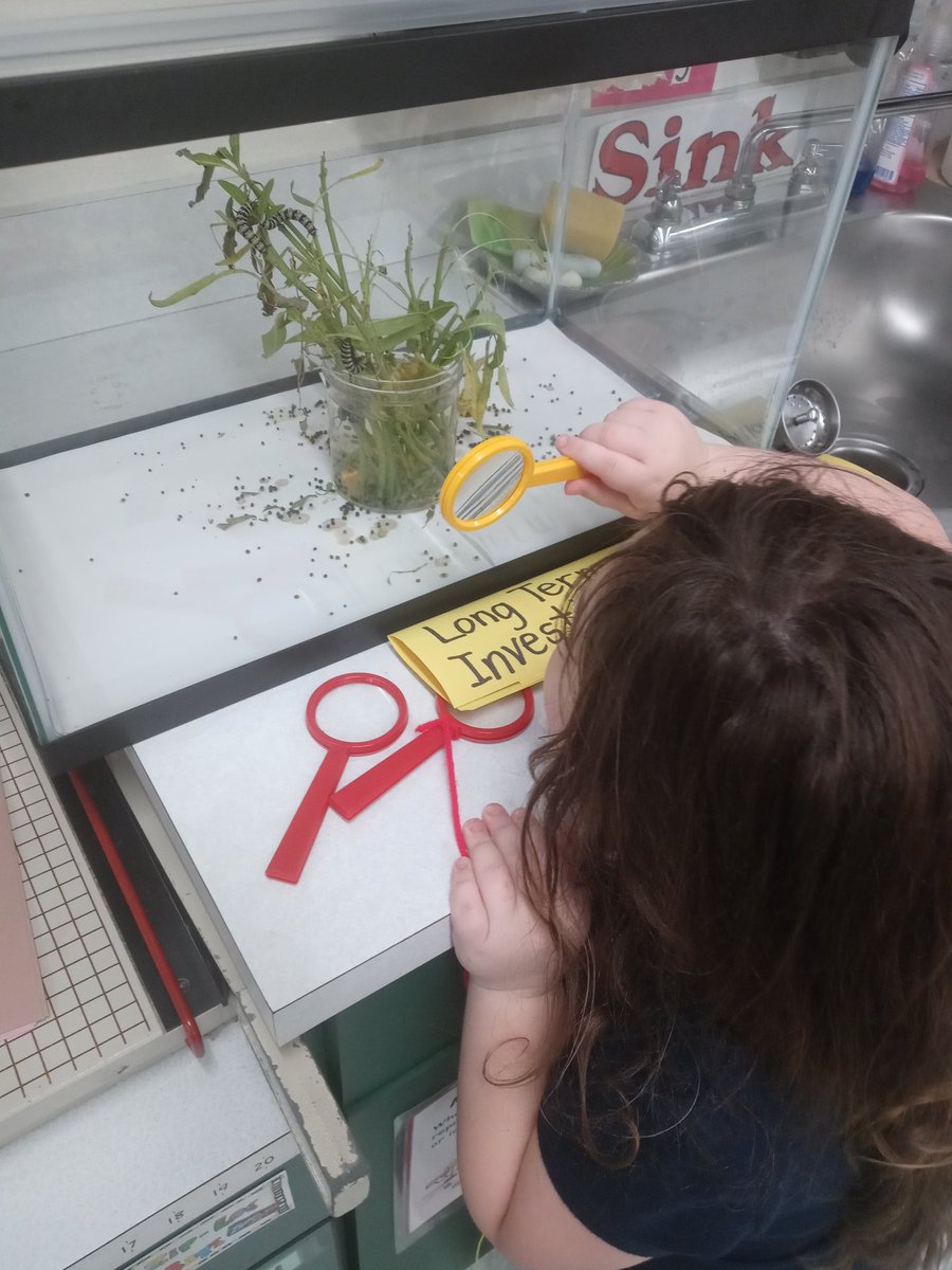 Lowry Kindergarten tweet media