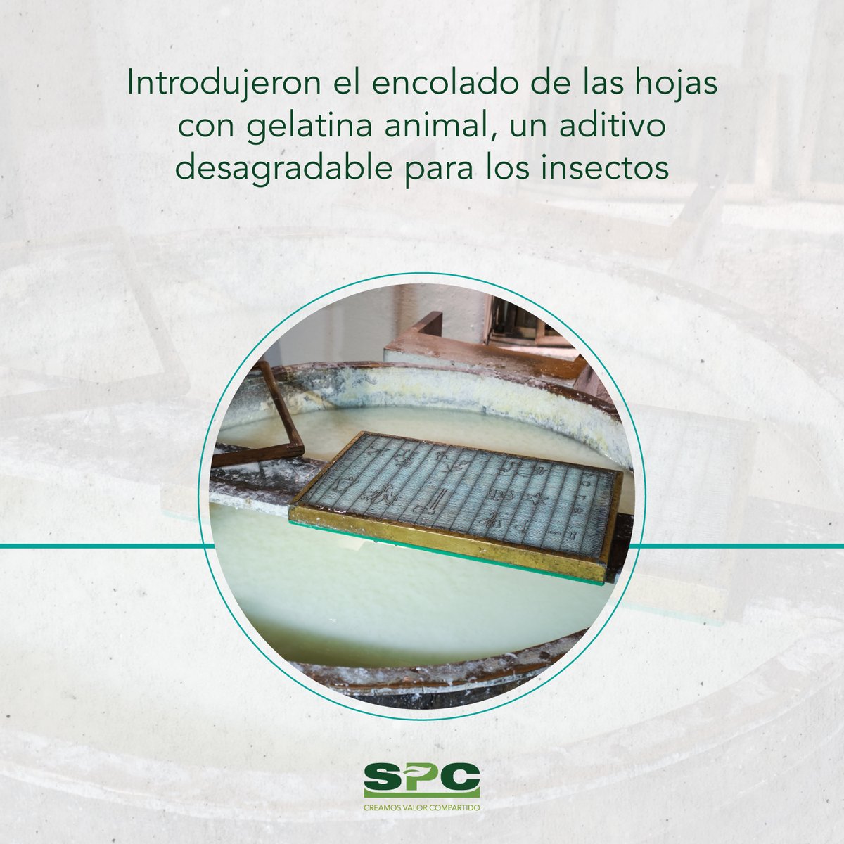 Surpapelcorpec tweet media