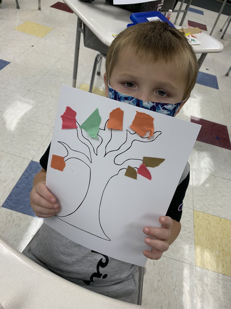bennettsbunch's tweet photo. Fall trees! #cddolphins https://t.co/zQ9Cge26Oo