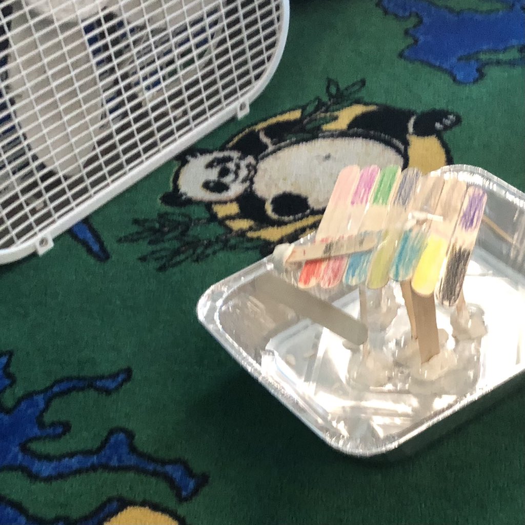 MissGallaghersClass tweet media