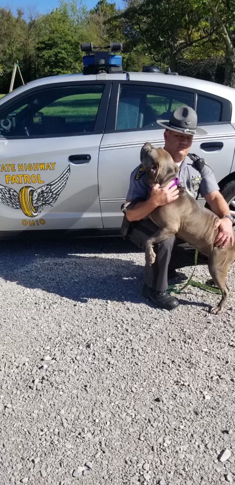 Trooper Gable from Batavia Post <a href="/OSHP/">Ohio State Highway Patrol</a> was working stationary patrol when he came across this dog. The dog was taken to a local shelter. After no owner claimed the dog, Trooper Gable and his family adopted her. Everyone meet Zoey.